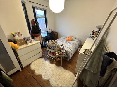 Picture 7